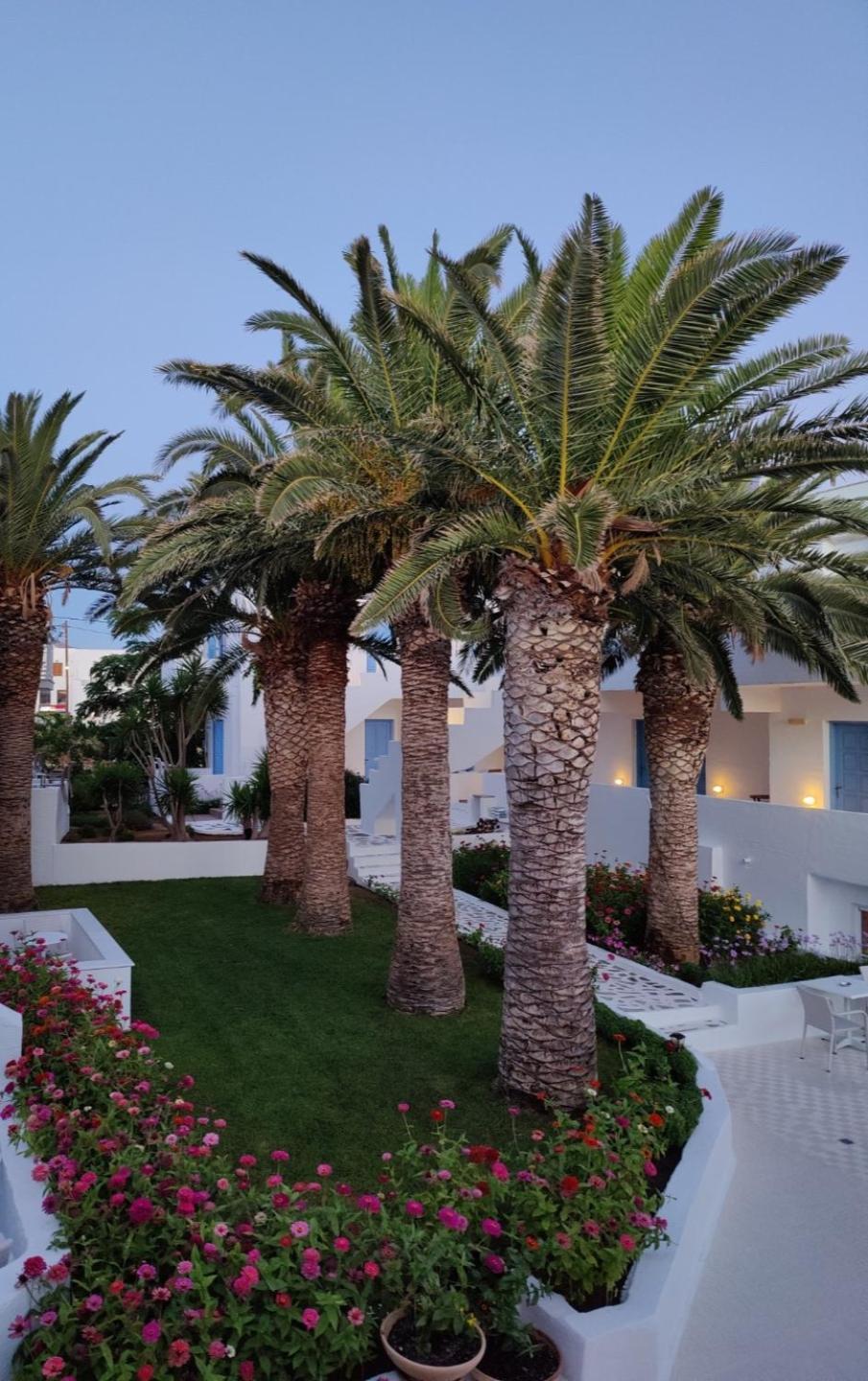 Hotel Sagterra Naxos City Exterior foto